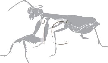 Insect Clipart