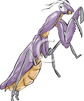 Insect Clipart