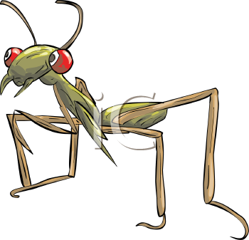 Insect Clipart