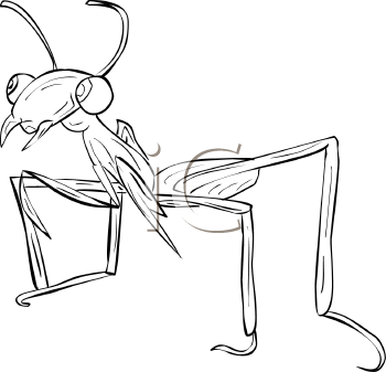 Insect Clipart