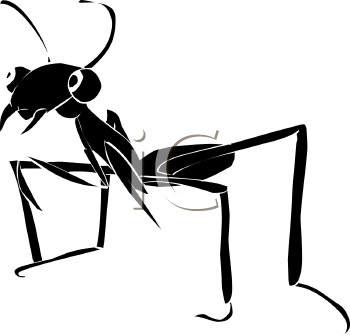 Insect Clipart