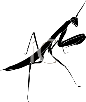 Insect Clipart