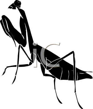 Insect Clipart