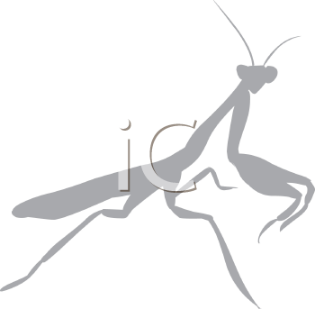 Insect Clipart