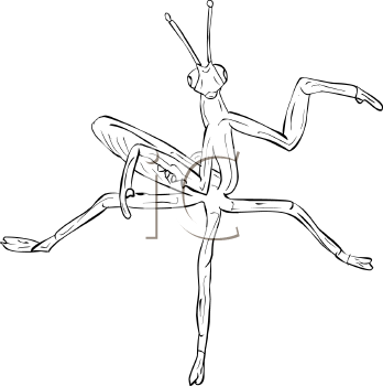 Insect Clipart