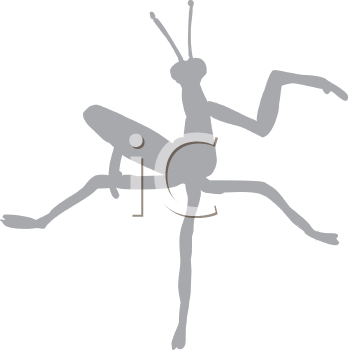 Insect Clipart