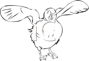 Bird Clipart