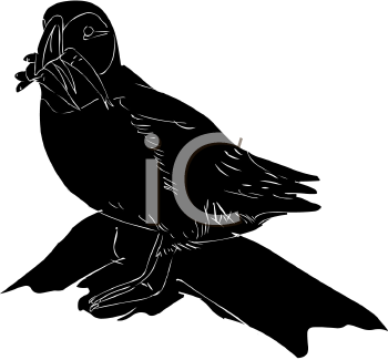 Bird Clipart