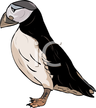 Bird Clipart