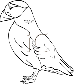 Bird Clipart