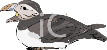 Bird Clipart