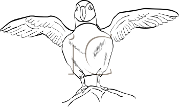 Bird Clipart