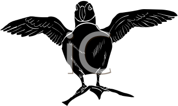 Bird Clipart