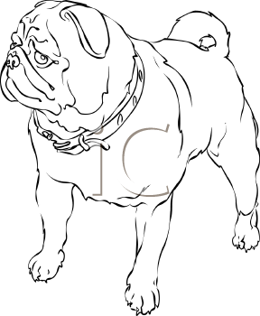 Dog Clipart