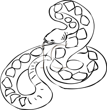 Reptile Clipart