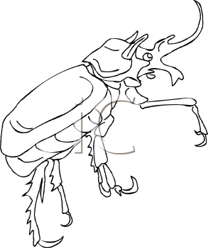 Beetle Clipart