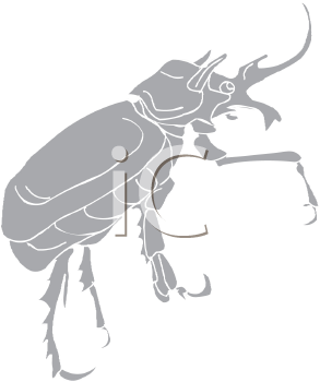 Beetle Clipart