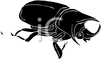 Mammal Clipart