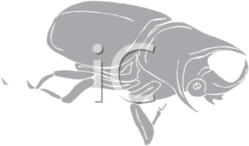 Mammal Clipart