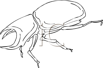 Beetle Clipart