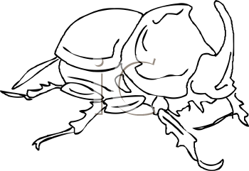 Beetle Clipart