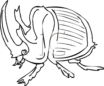 Mammal Clipart