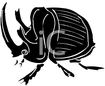 Beetle Clipart