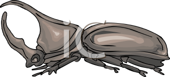 Beetle Clipart