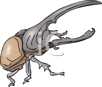 Beetle Clipart