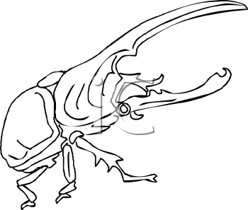 Beetle Clipart