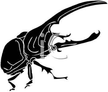 Beetle Clipart