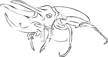 Beetle Clipart