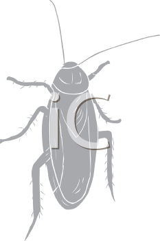 Insect Clipart