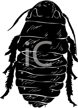 Insect Clipart