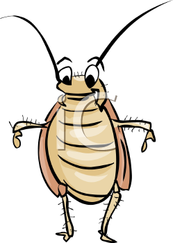 Insect Clipart