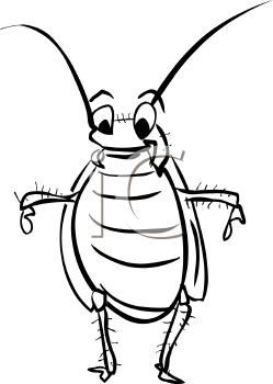 Insect Clipart