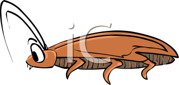 Insect Clipart