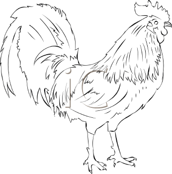 Farm Animal Clipart