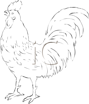 Farm Animal Clipart