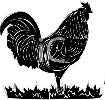 Farm Animal Clipart