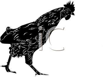 Farm Animal Clipart