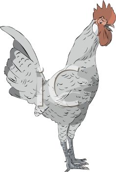 Farm Animal Clipart