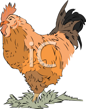 Farm Animal Clipart