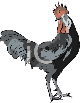 Farm Animal Clipart