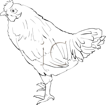 Farm Animal Clipart