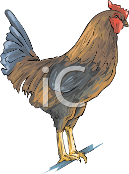 Farm Animal Clipart