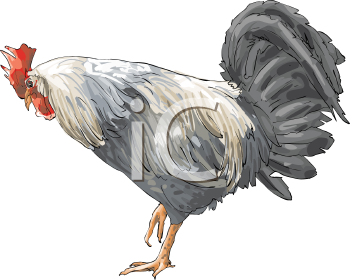 Farm Animal Clipart