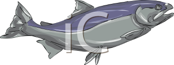 Fish and Sea Life Clipart