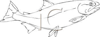 Fish and Sea Life Clipart