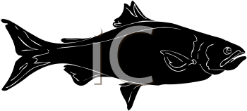 Fish and Sea Life Clipart